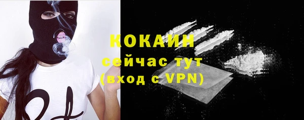 амф Гатчина