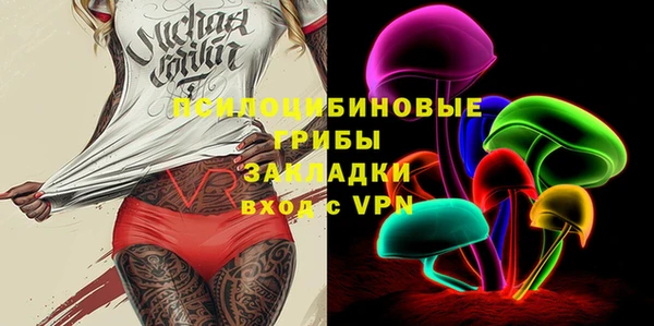 apvp Алексин