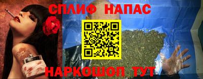 сатива Краснознаменск