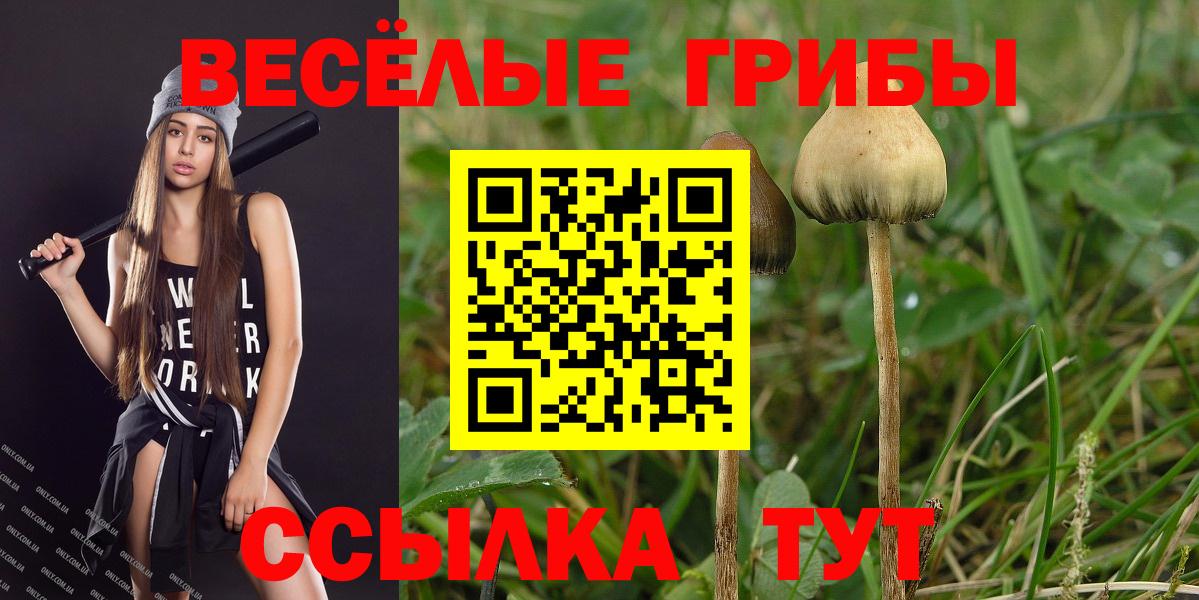 Карпинск  Псилоцибиновые грибы ЛСД  Вход с VPN 