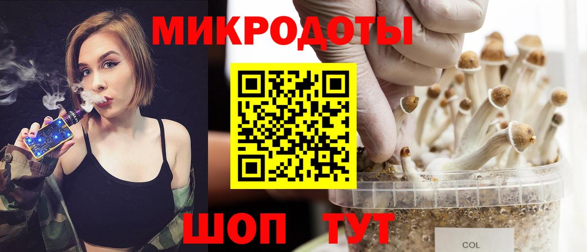 Галлюциногенные грибы Psilocybine cubensis Карпинск